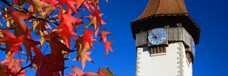 dorfkirche_spiez_2018-1